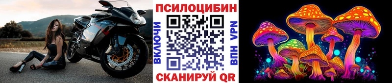 купить наркотики цена  кракен вход  Галлюциногенные грибы GOLDEN TEACHER  Смоленск 