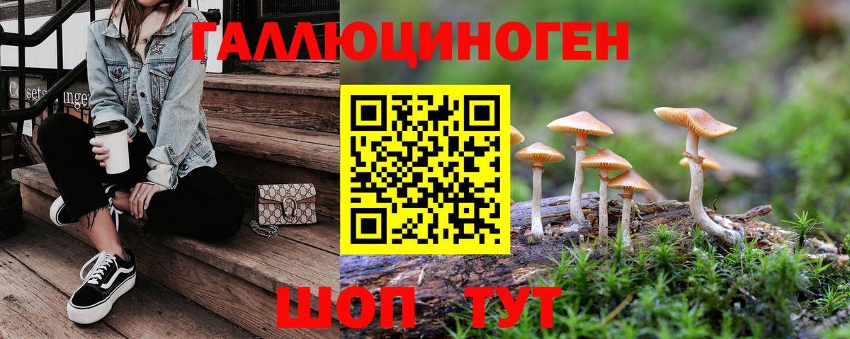 Смоленск  Псилоцибиновые грибы MAGIC MUSHROOMS  Вход с VPN 
