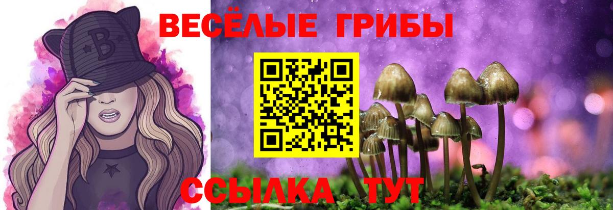 Псилоцибиновые грибы GOLDEN TEACHER Смоленск